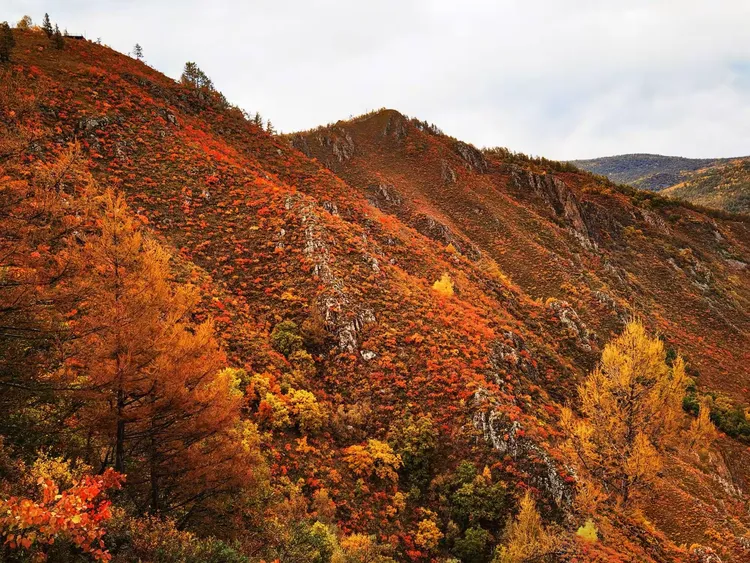 阿尔山·柴河