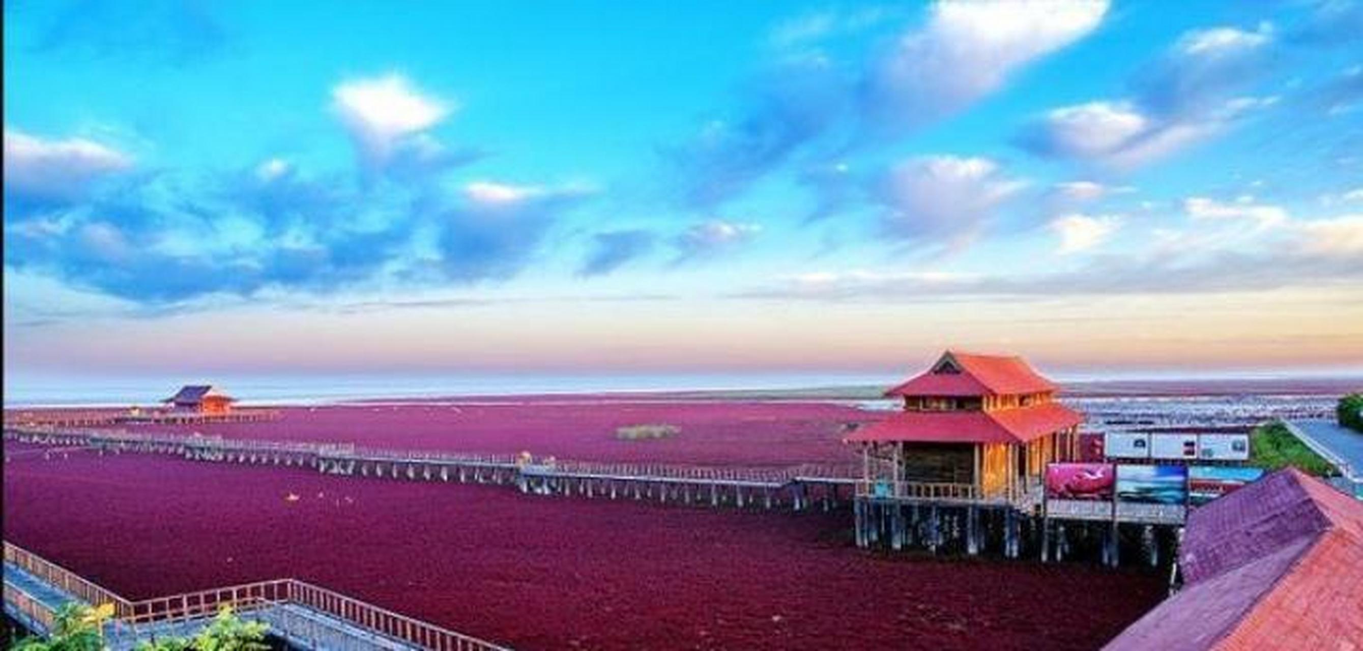 红海滩风景廊道景区