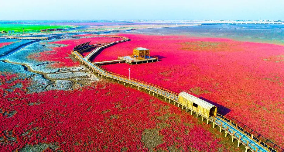 红海滩风景廊道景区