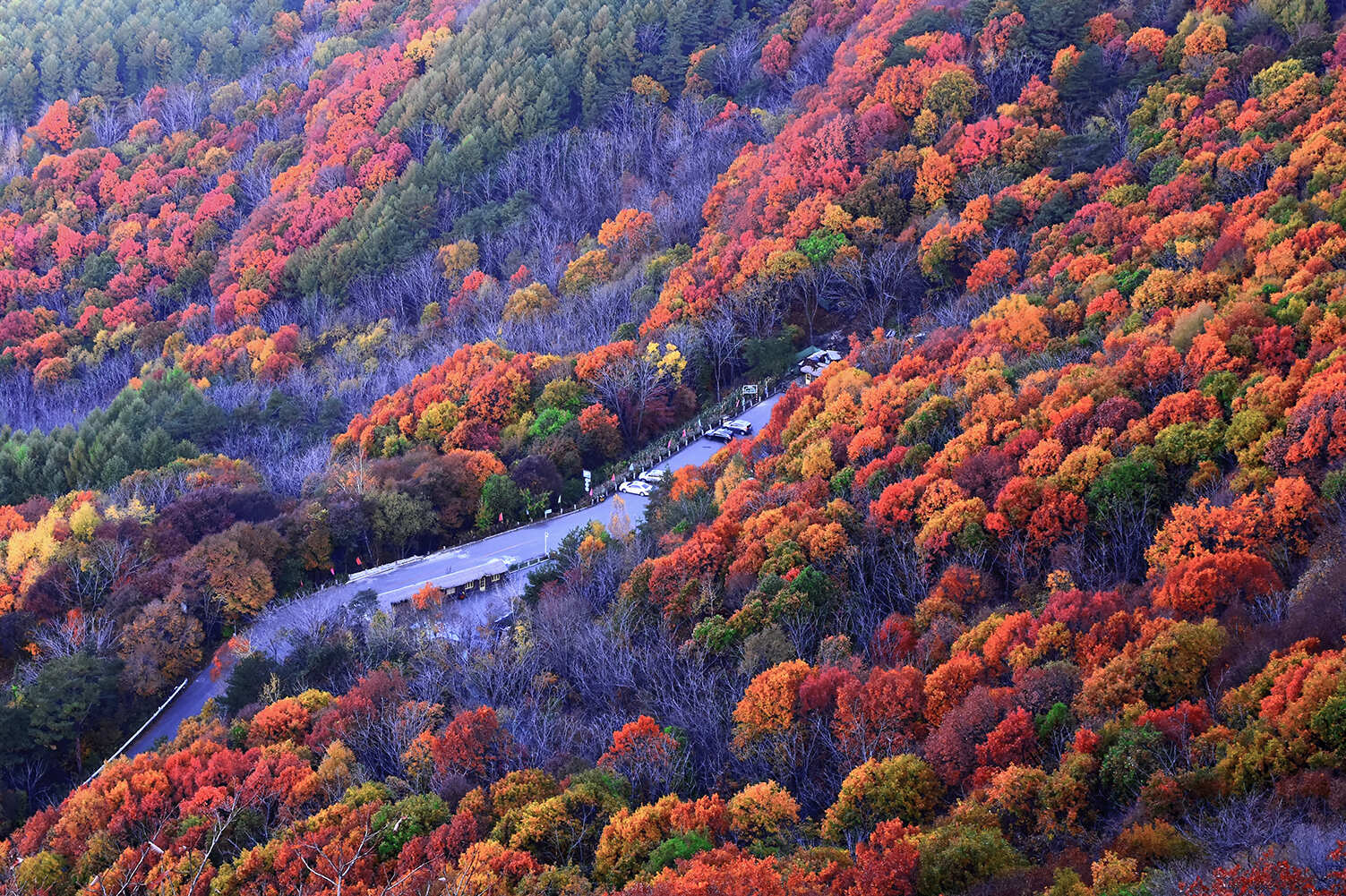 五女山