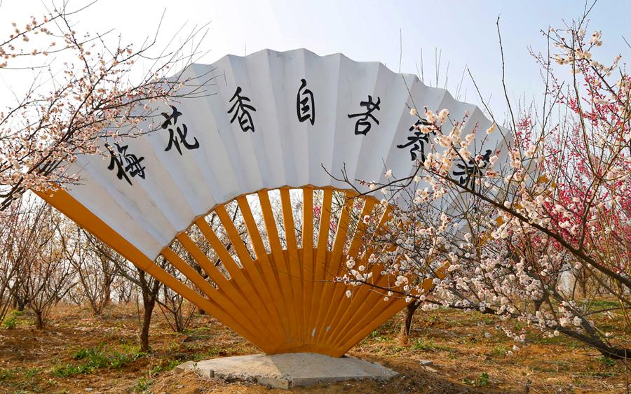 洪泽湖湿地