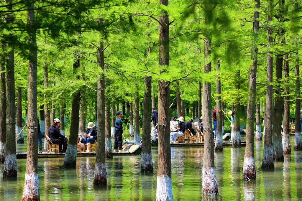 洪泽湖湿地