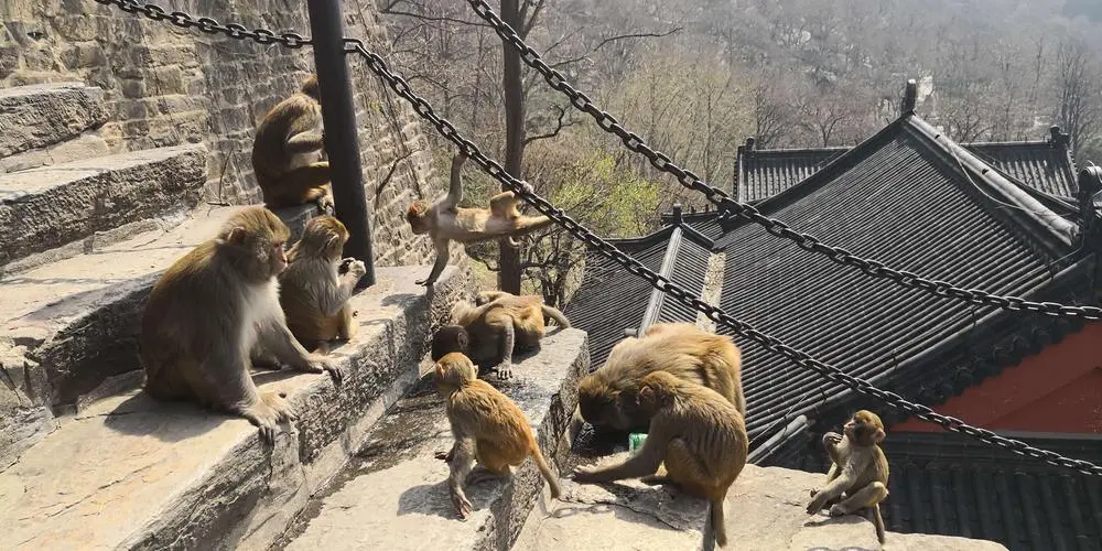 连云港花果山