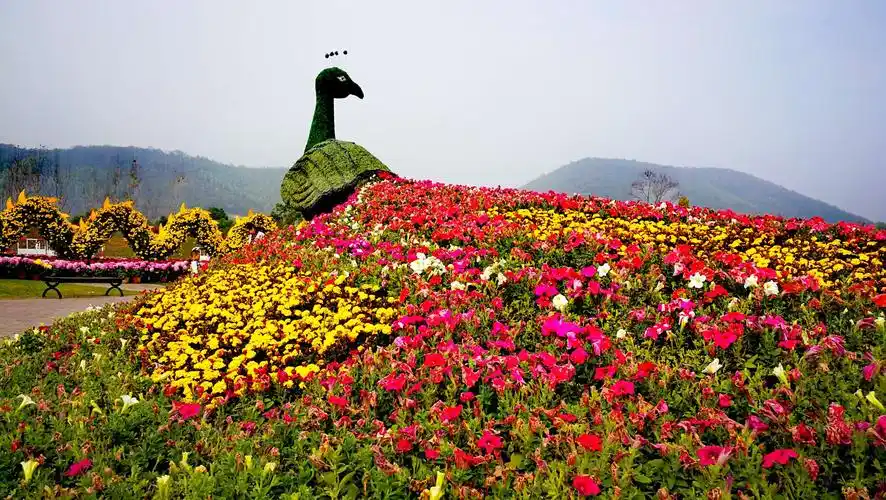 茅山