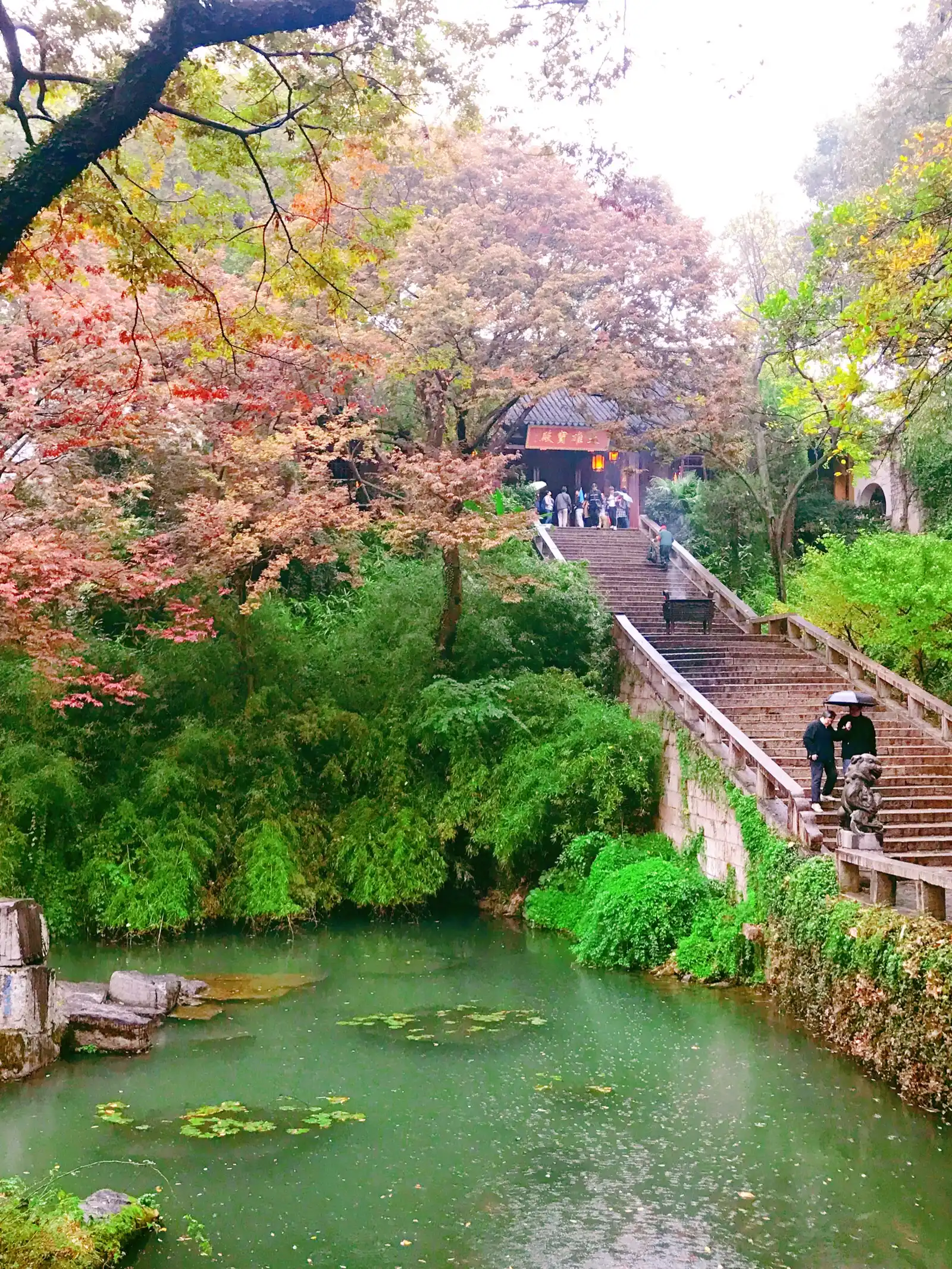 苏州园林(拙政园、虎丘山、留园)
