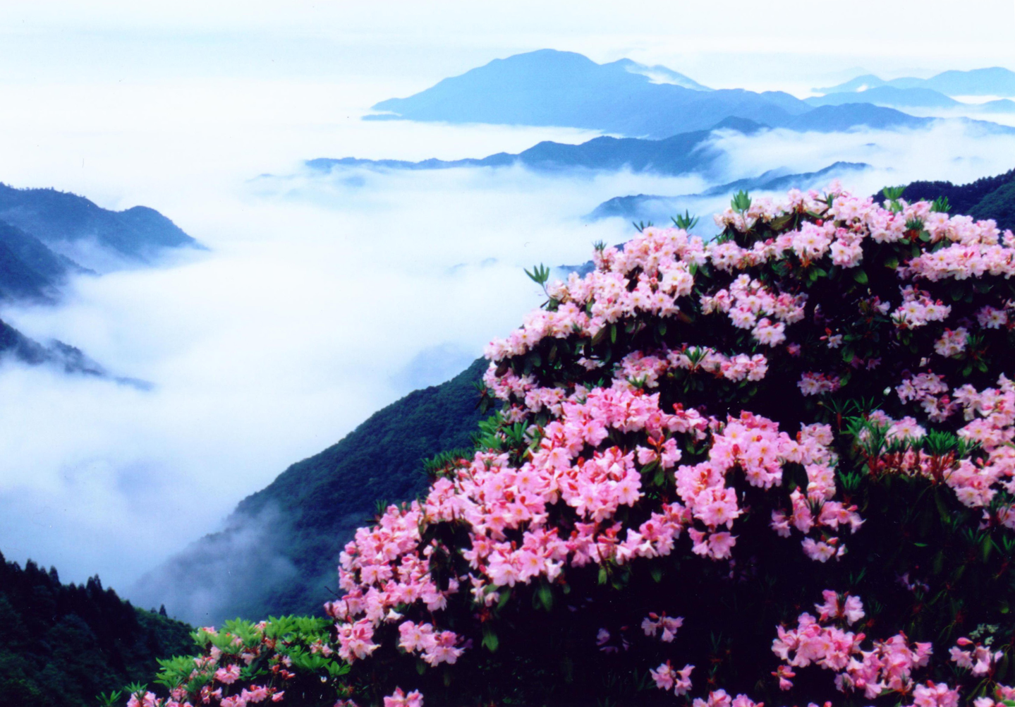 天台山