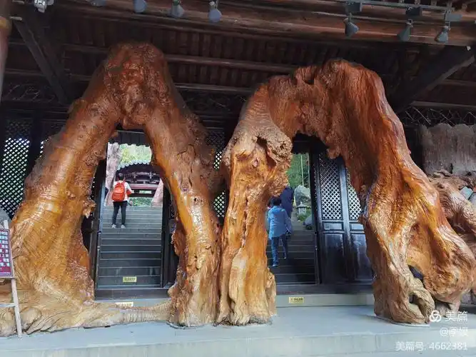 根宫佛国