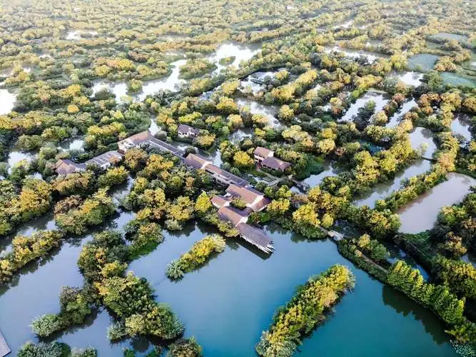 西溪湿地