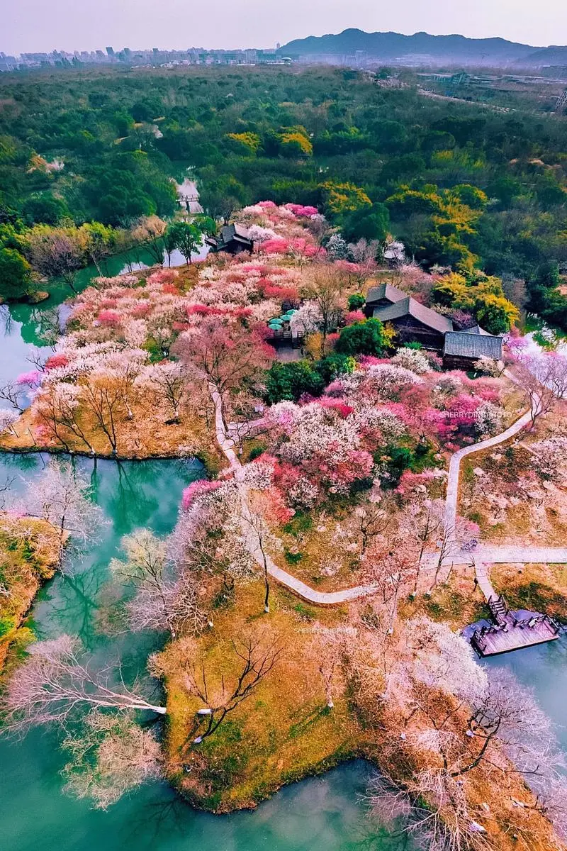 西溪湿地
