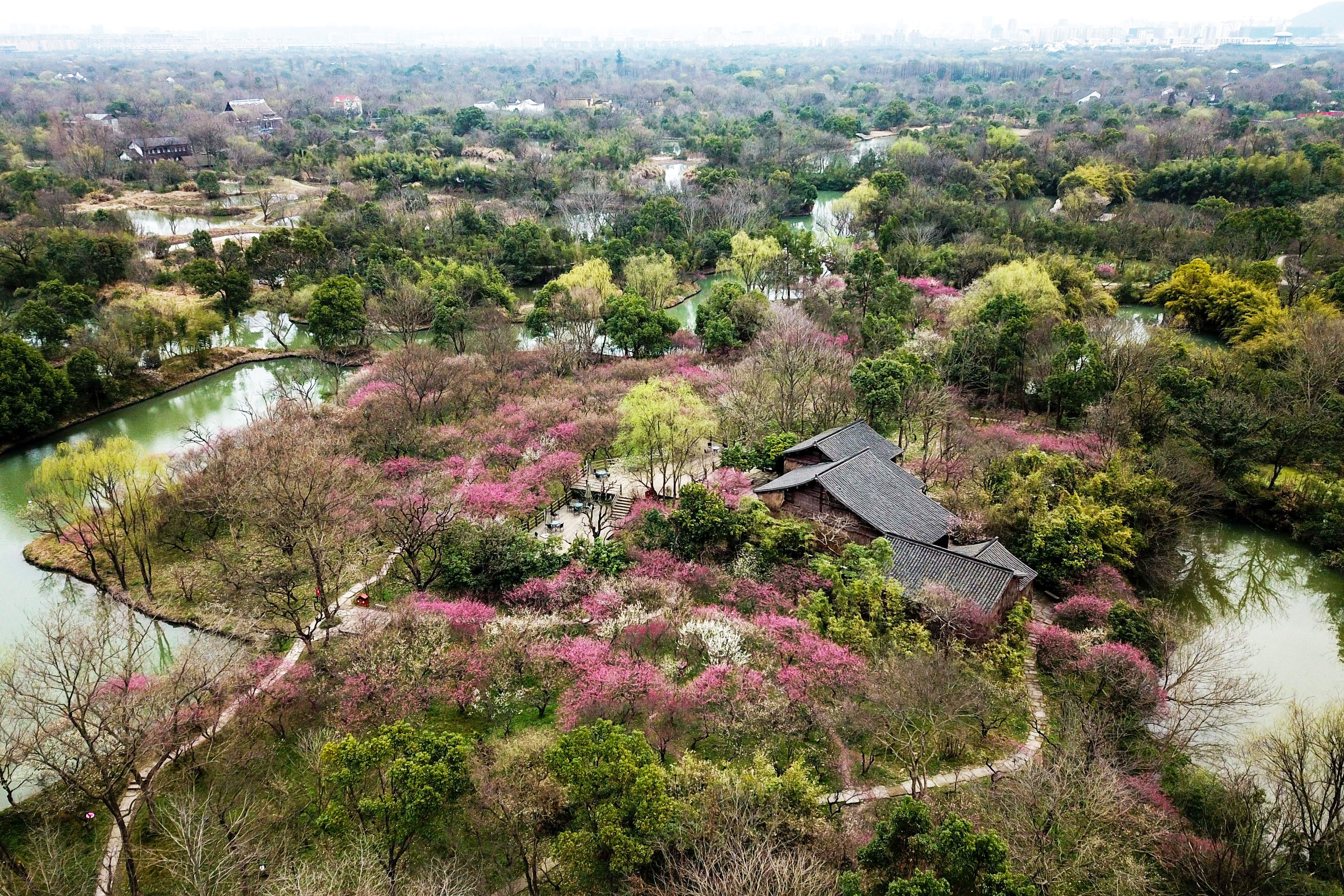 西溪湿地