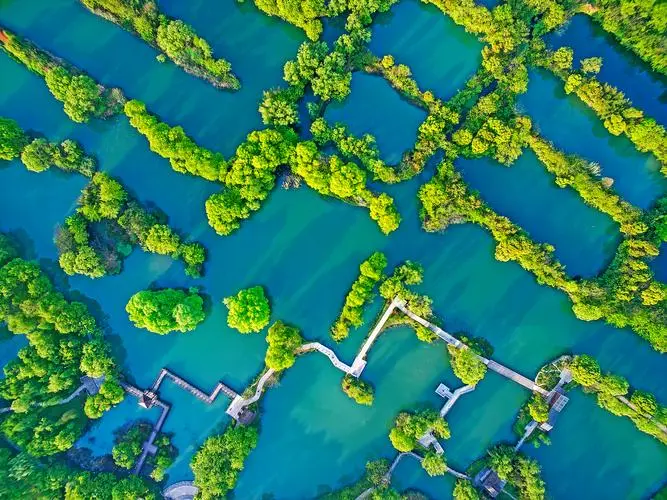 西溪湿地