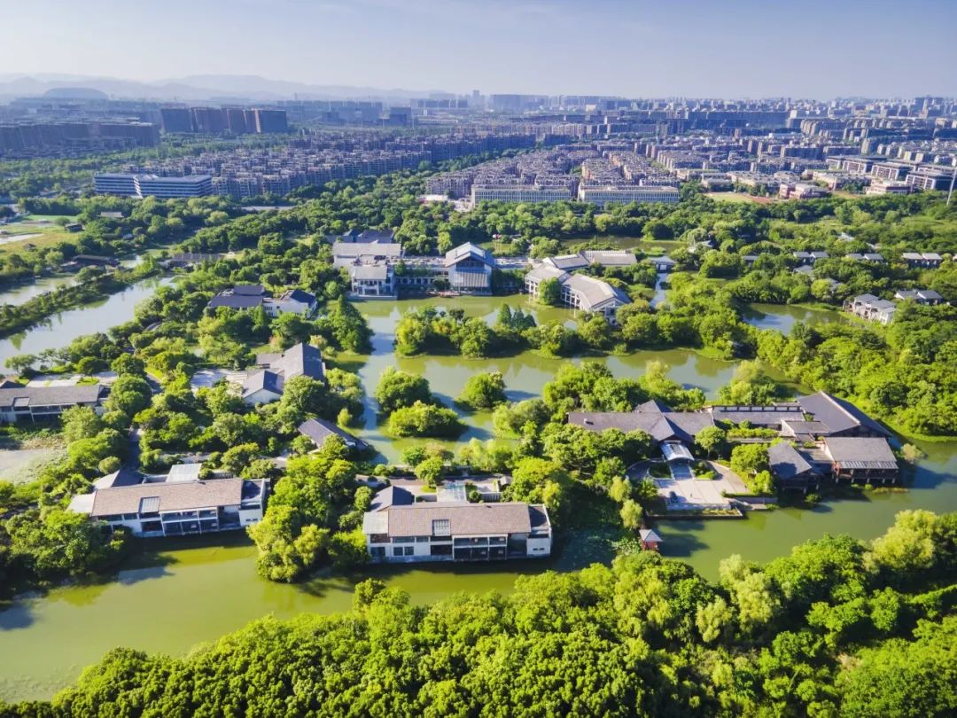 西溪湿地