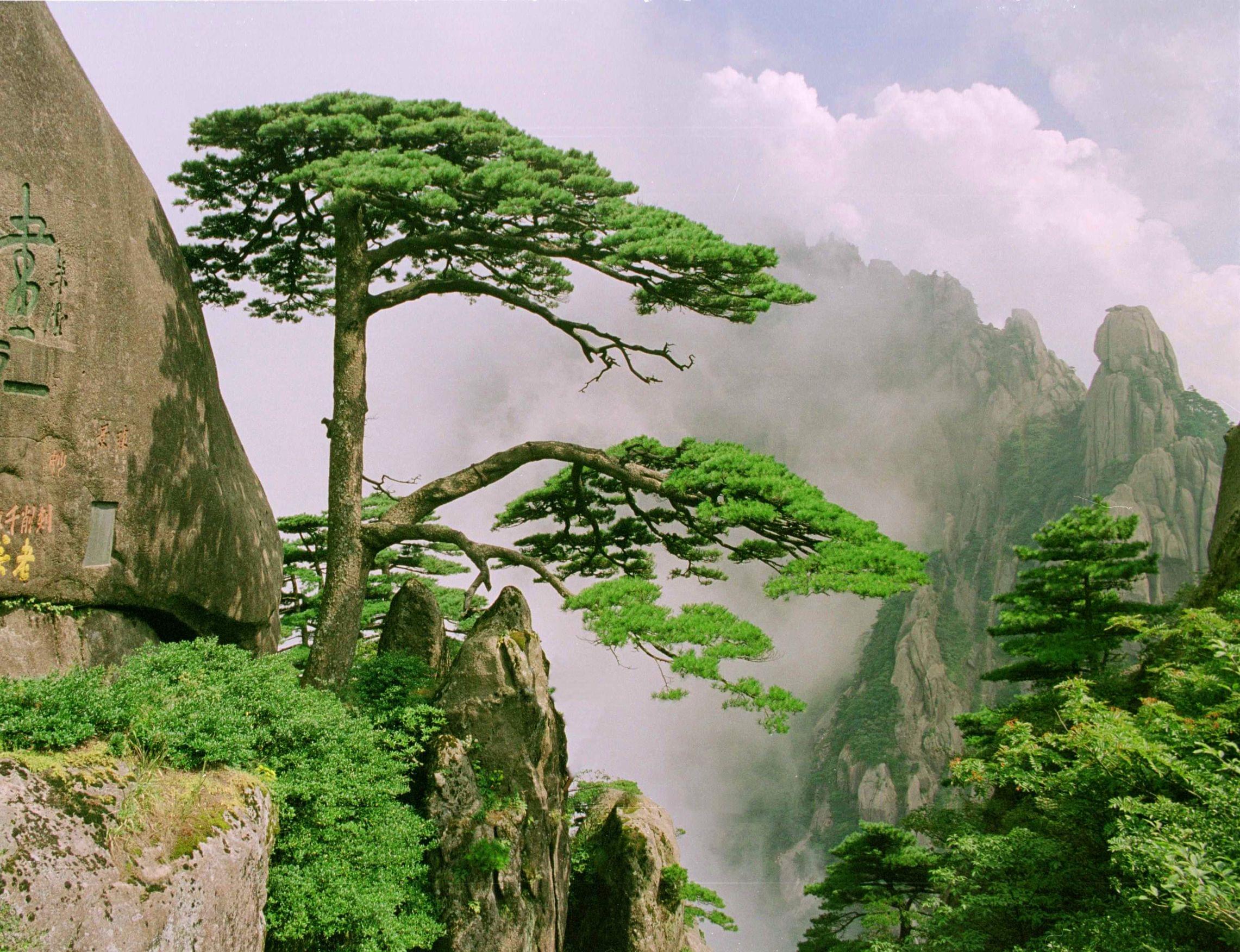 黄山
