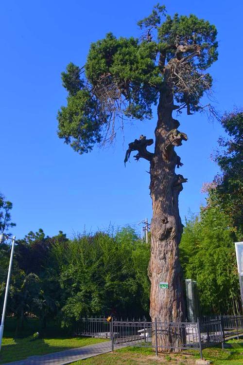 清源山