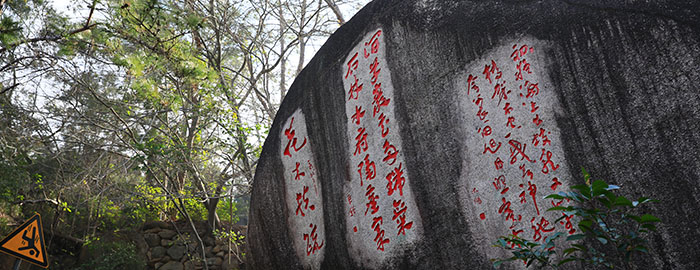 厦门园林植物园