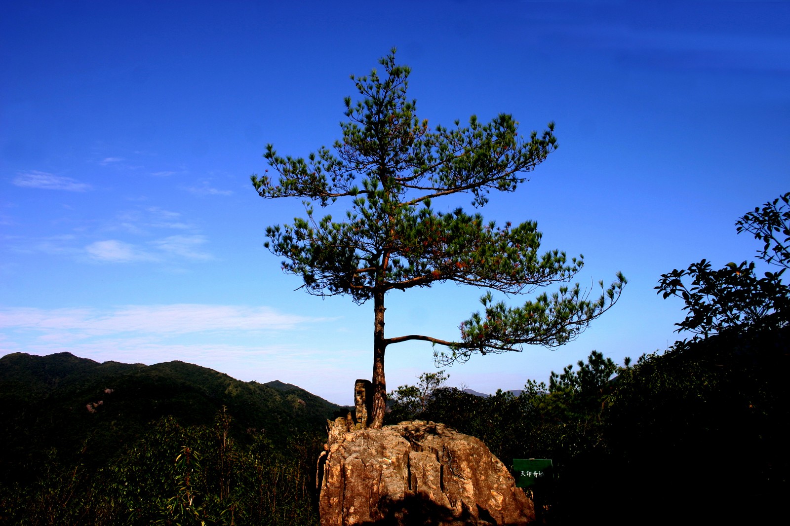 三百山