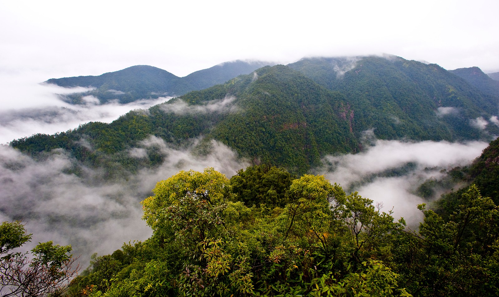 三百山