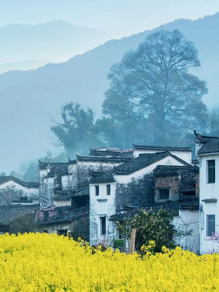 江湾景区