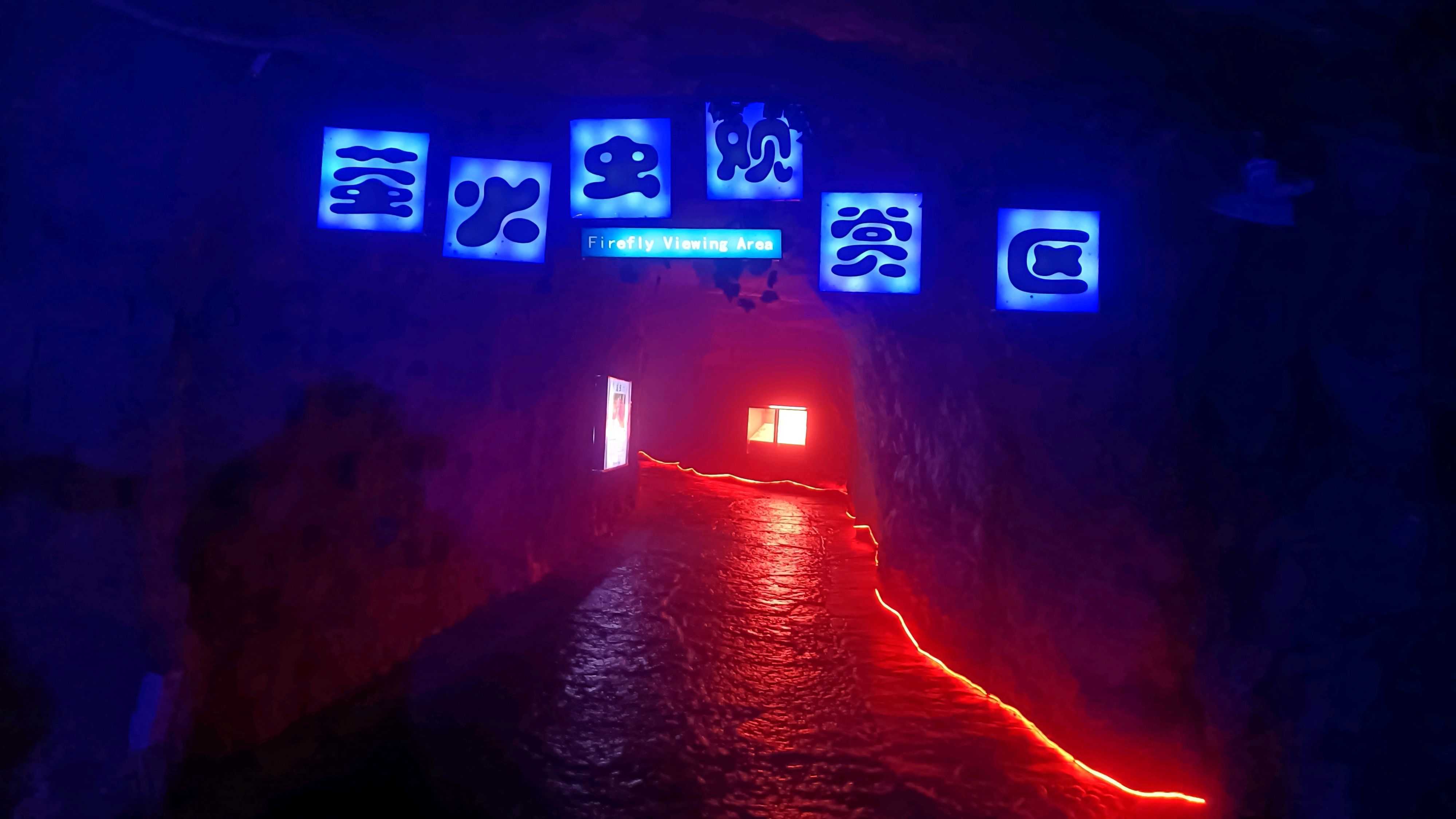 萤火虫水洞•地下大峡谷