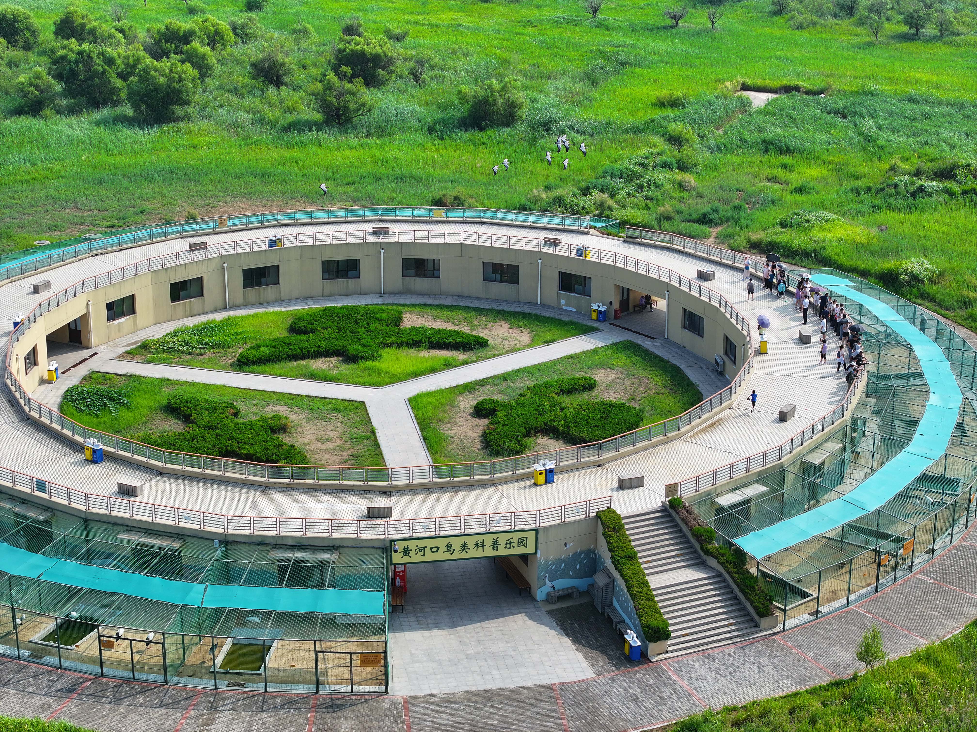 黄河口生态旅游区