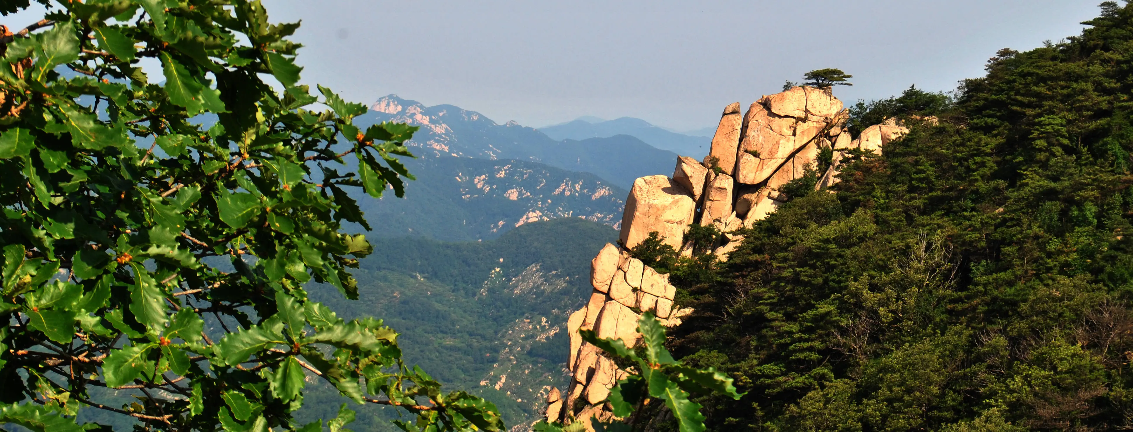 沂蒙山