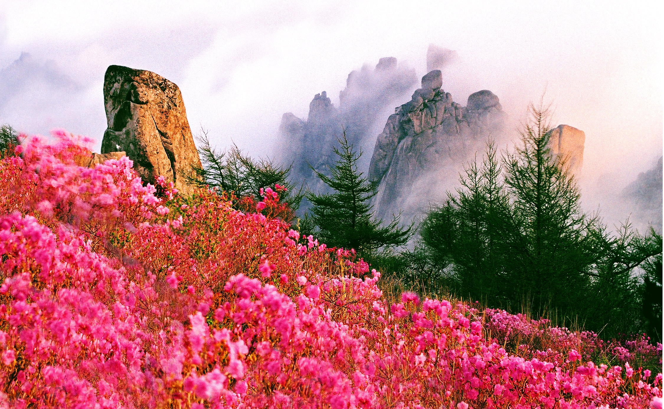 崂山