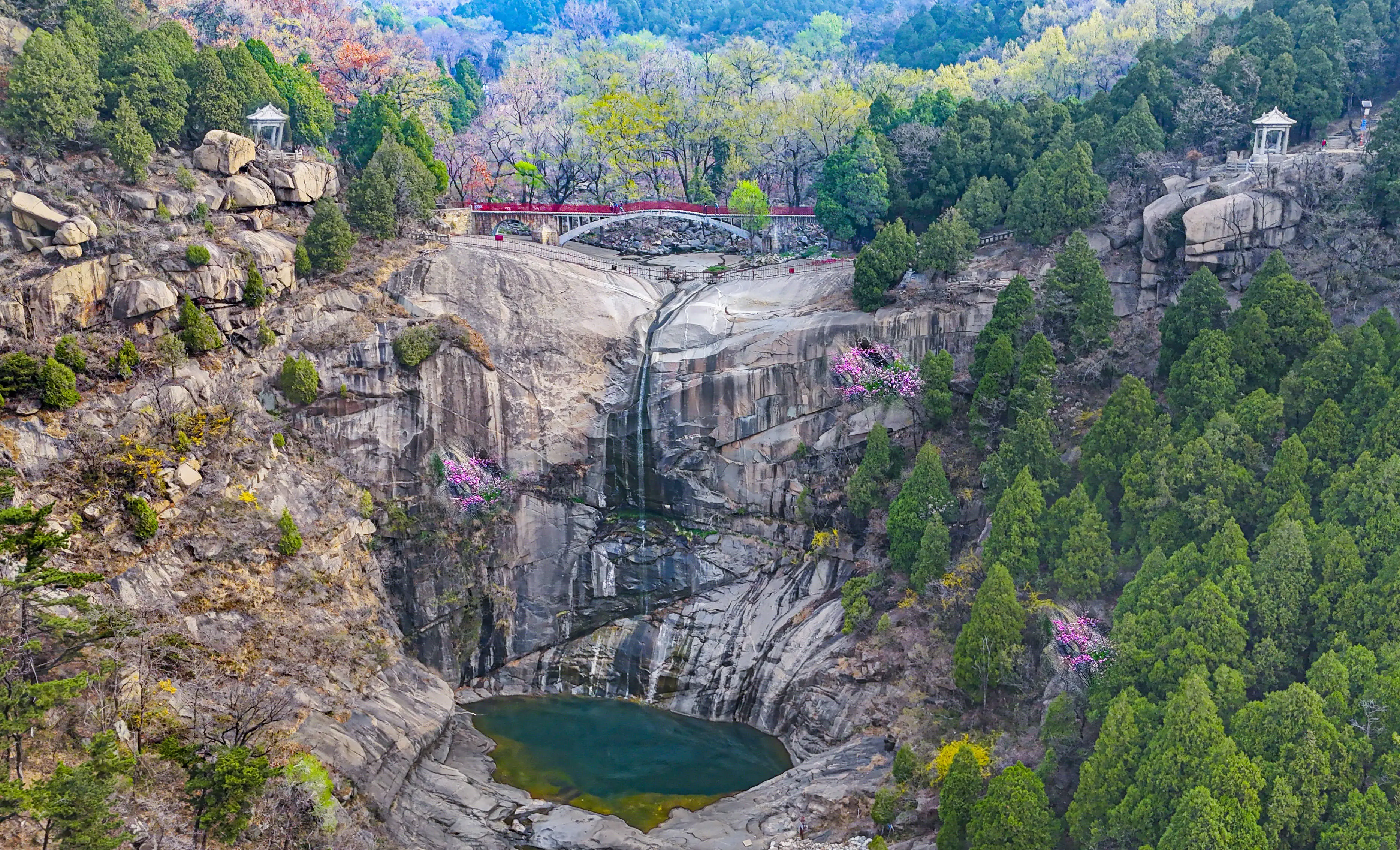 泰山