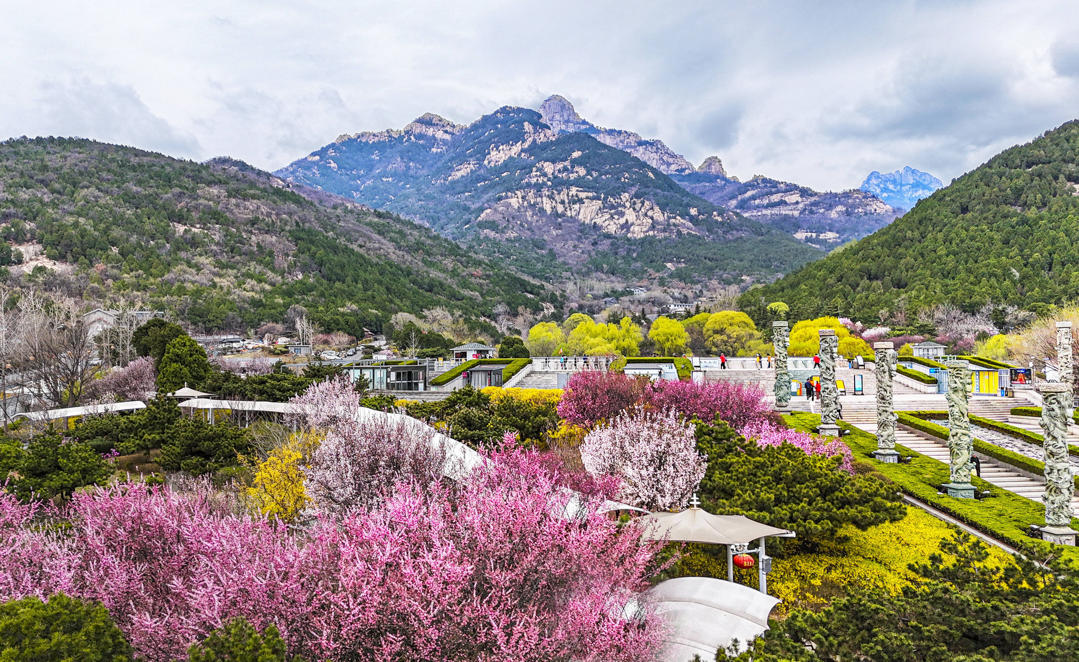 泰山