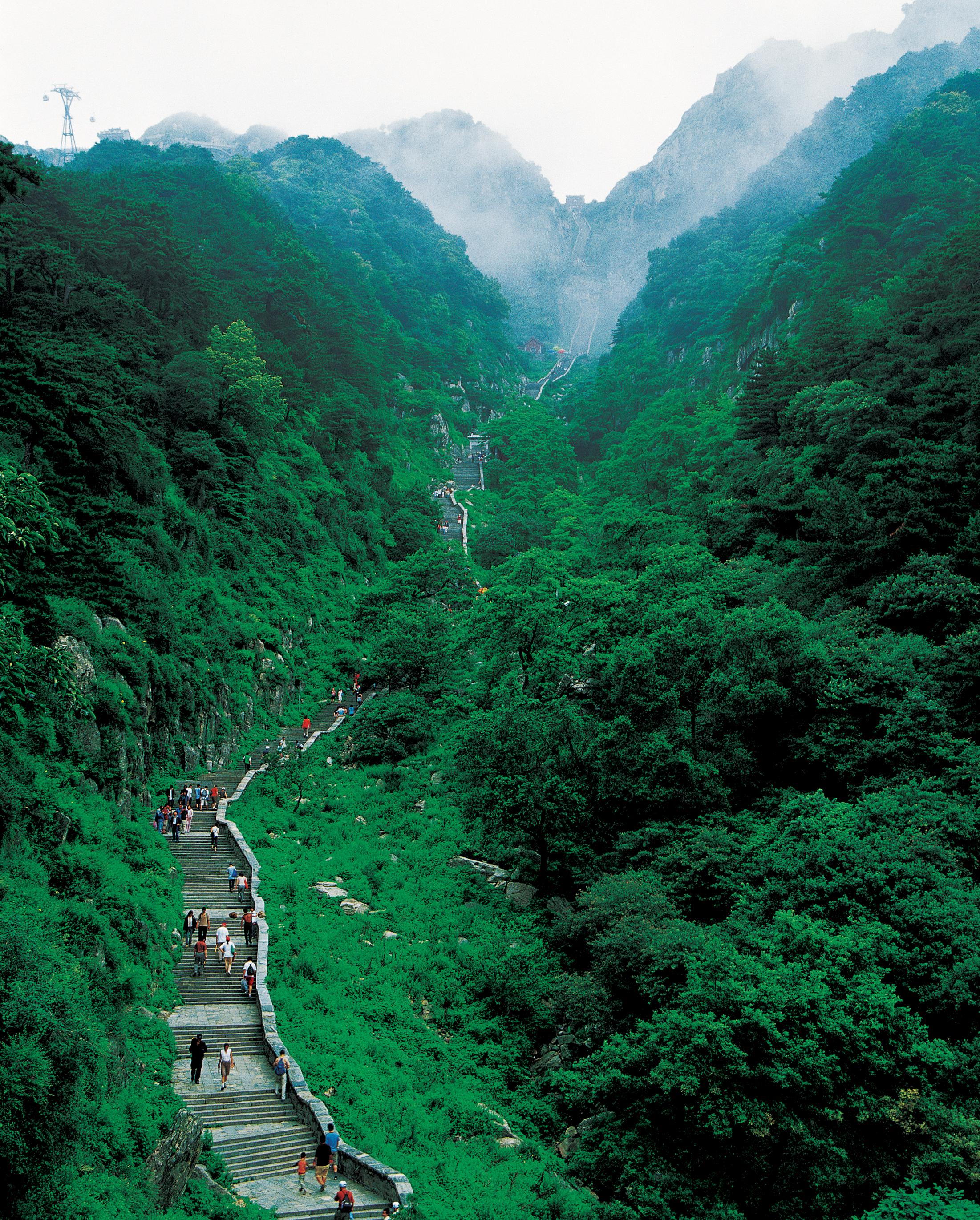 泰山