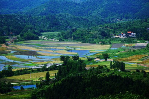 鸡公山