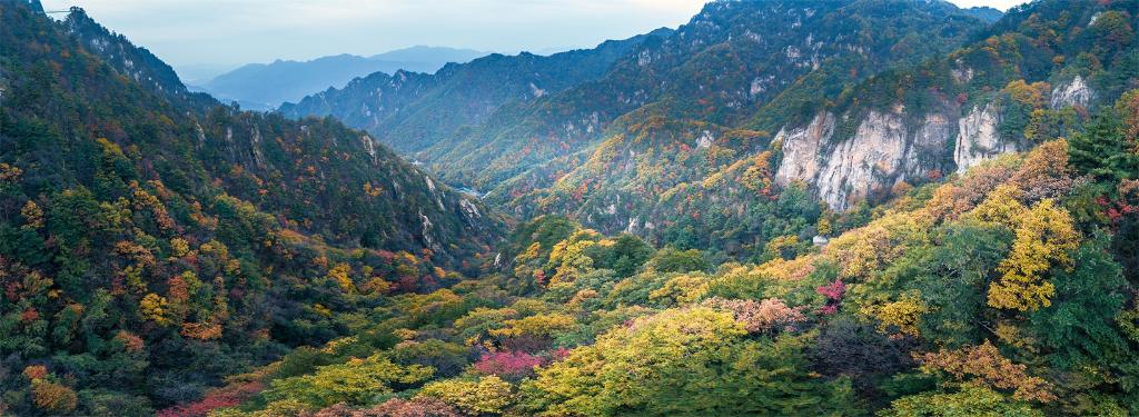 伏牛山老界岭·恐龙遗址园