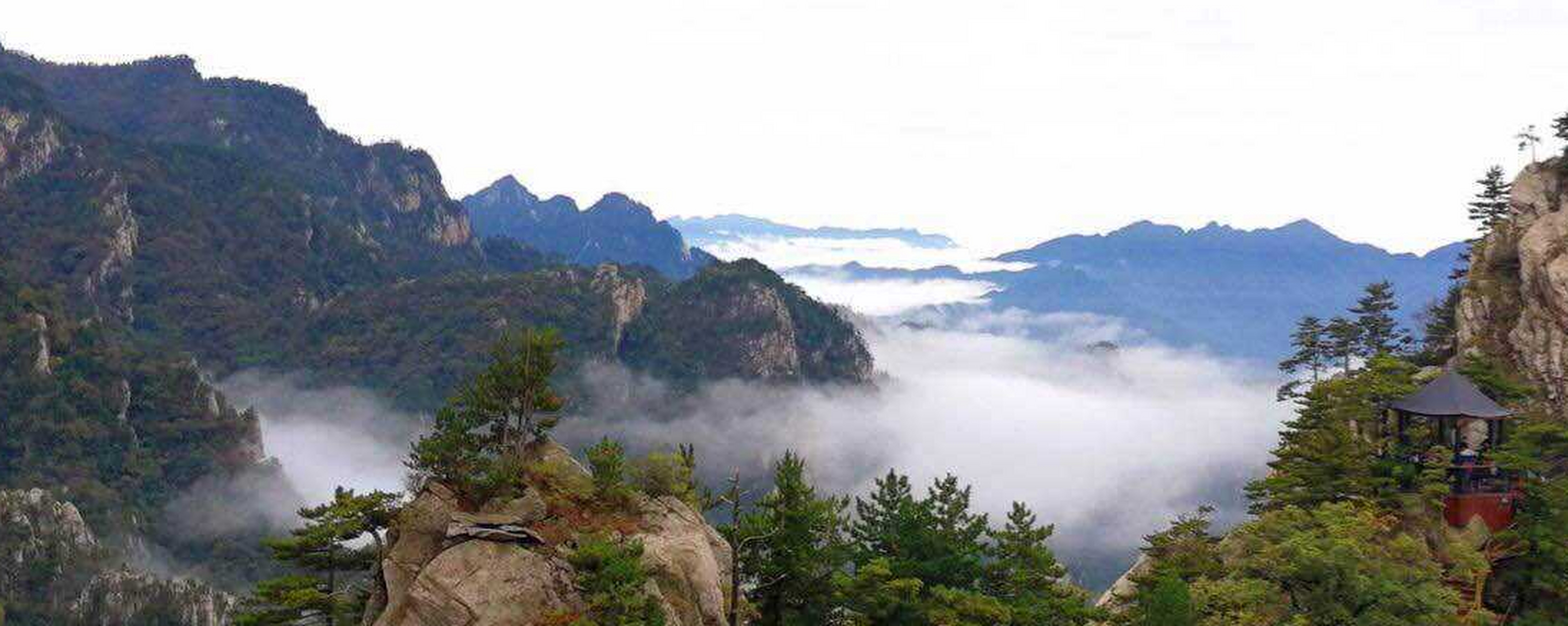伏牛山老界岭·恐龙遗址园