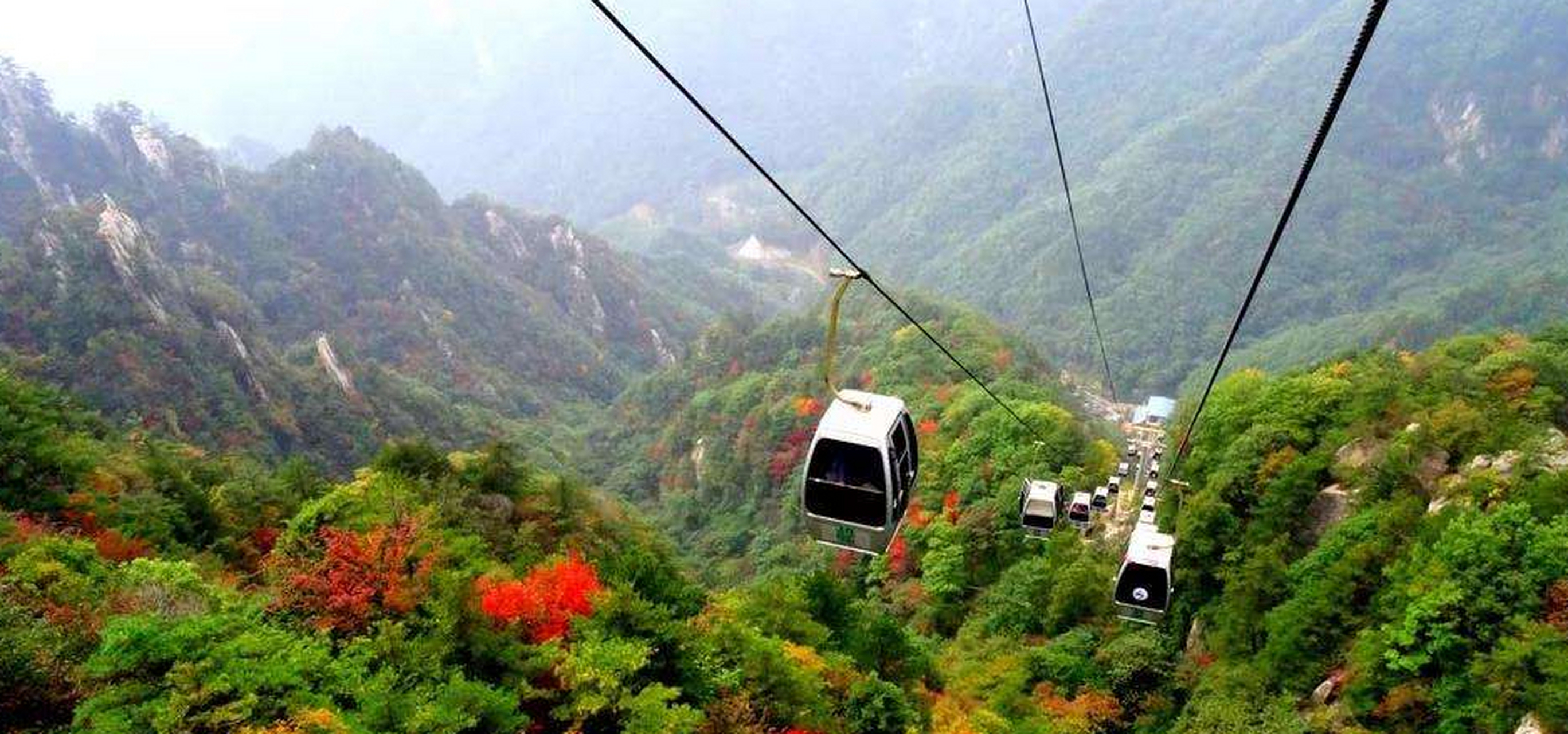 伏牛山老界岭·恐龙遗址园