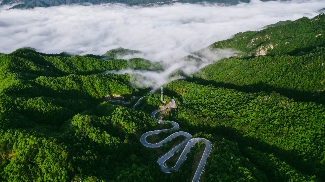 伏牛山老界岭·恐龙遗址园