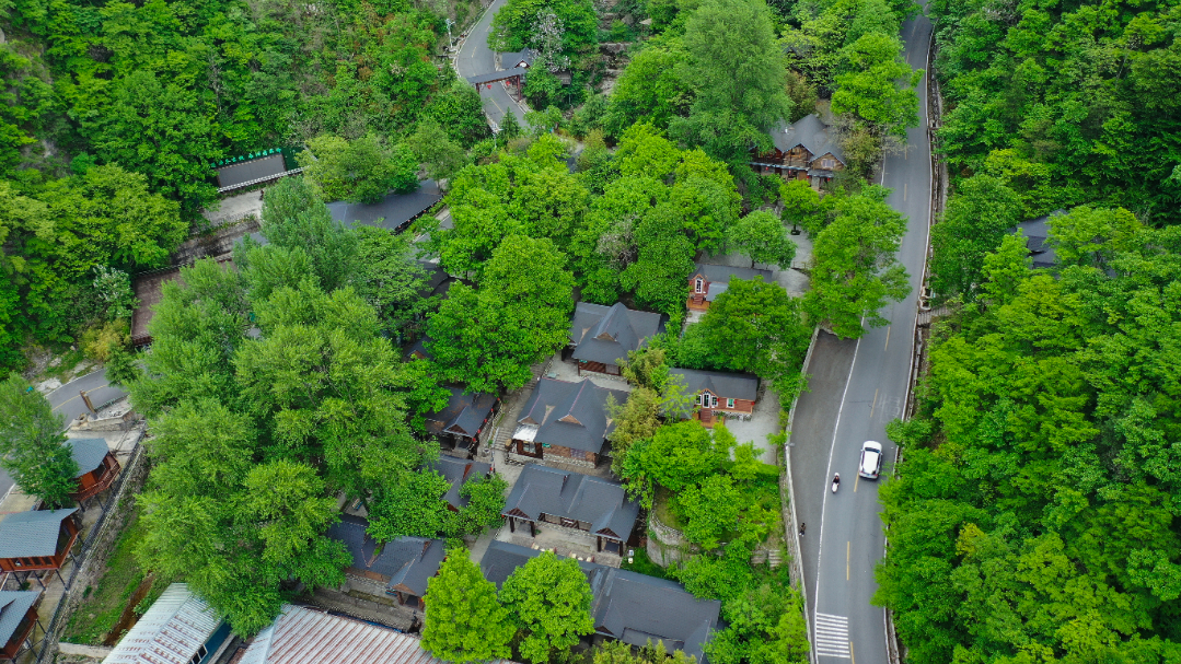 伏牛山老界岭·恐龙遗址园