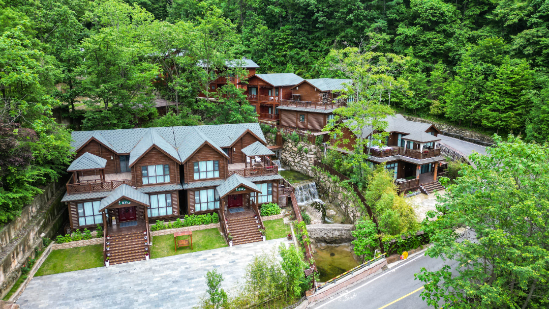 伏牛山老界岭·恐龙遗址园