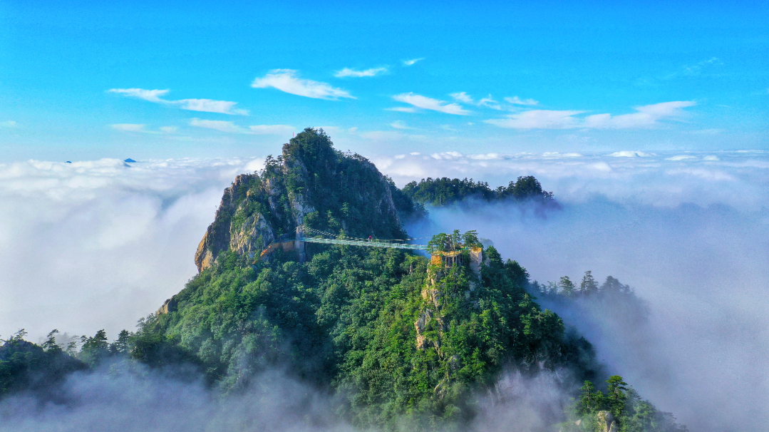 伏牛山老界岭·恐龙遗址园