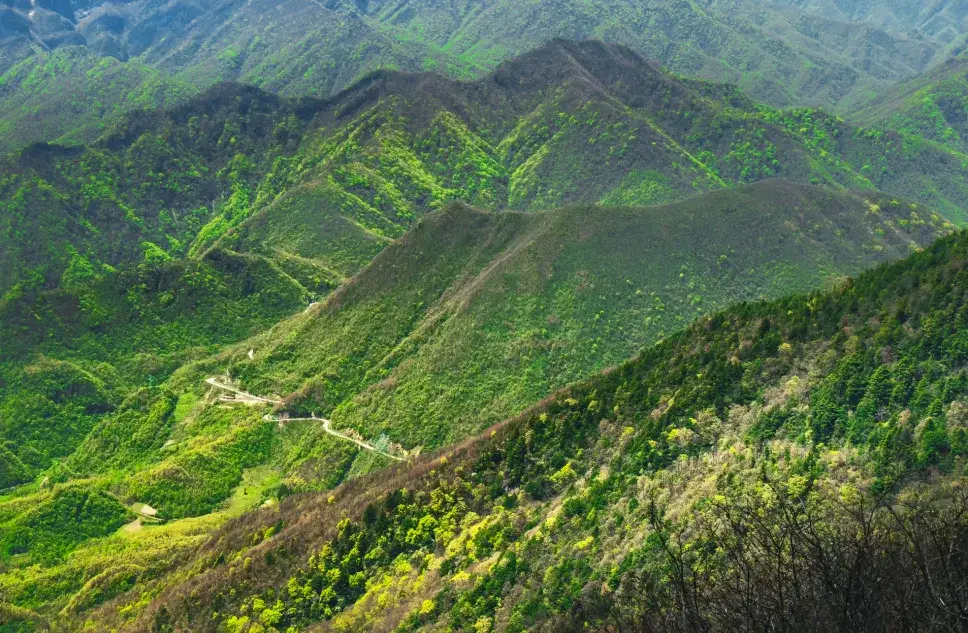 神农架旅游区