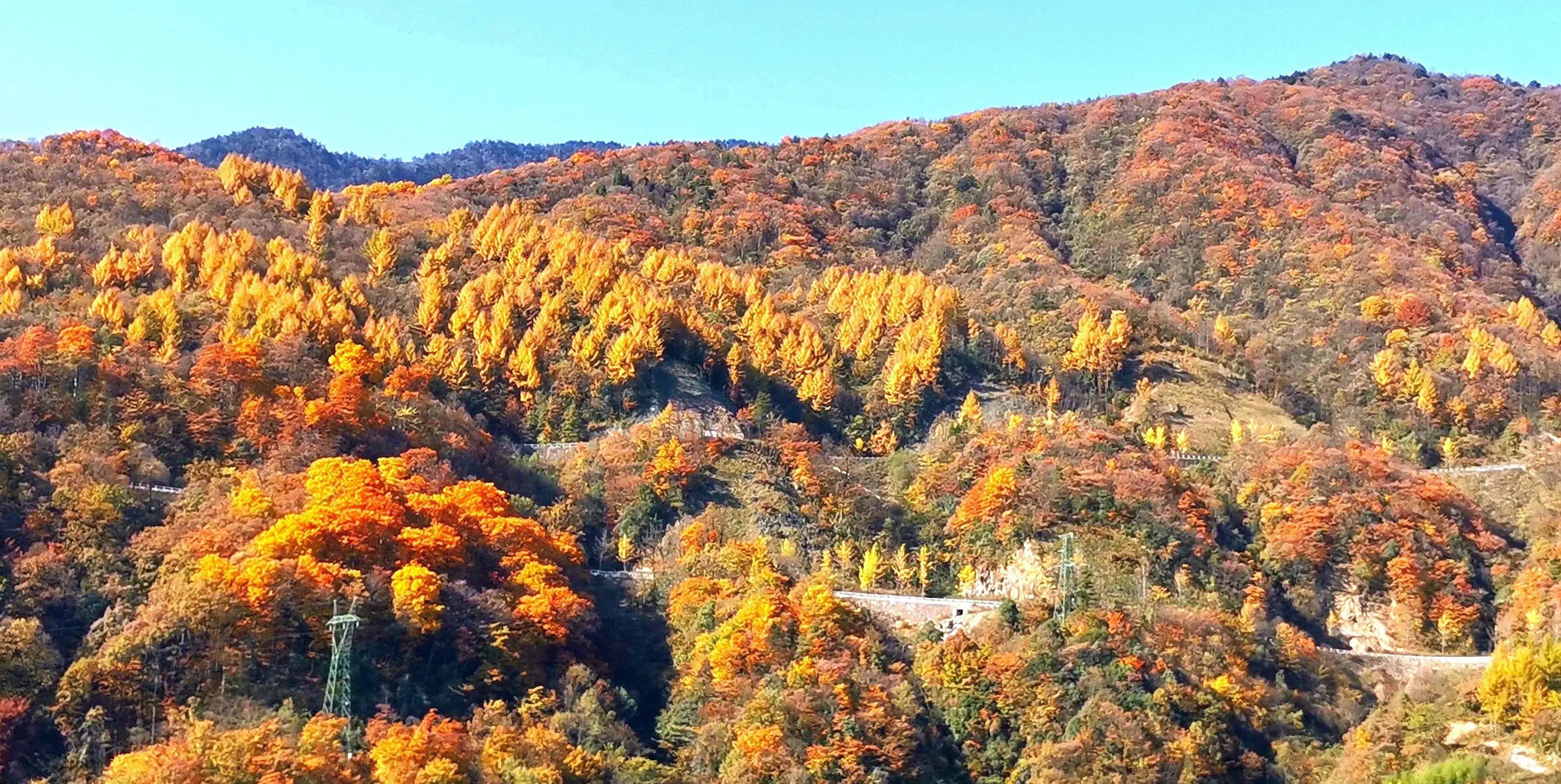 神农架旅游区