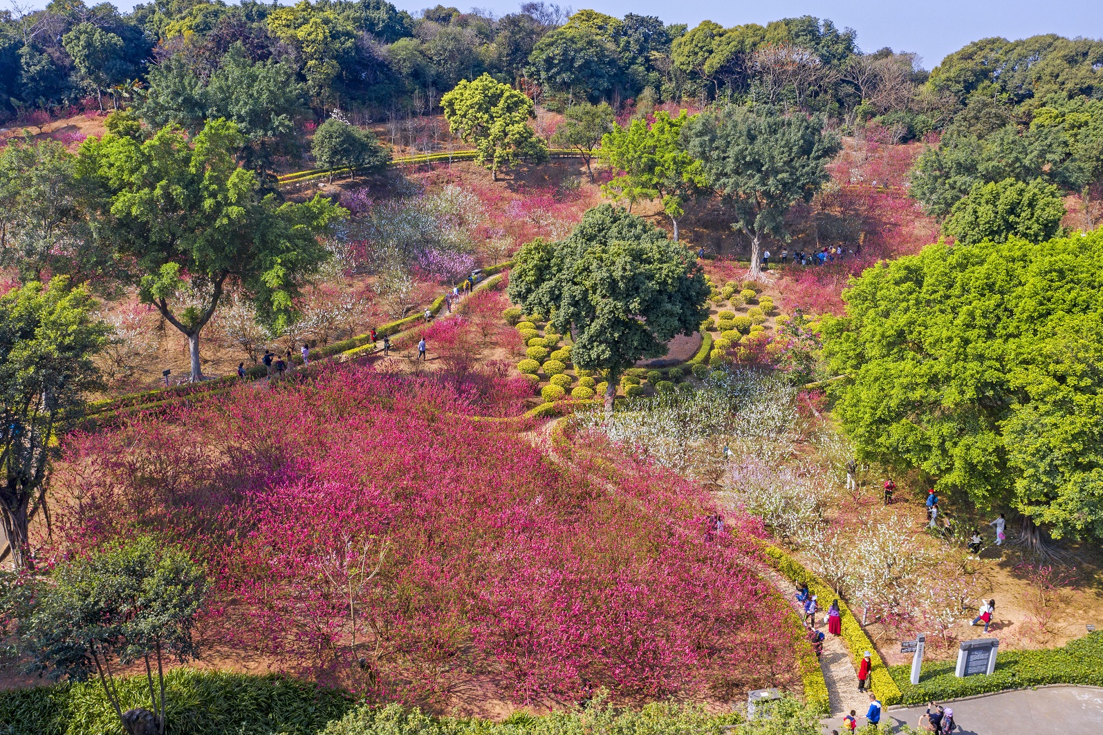 西樵山