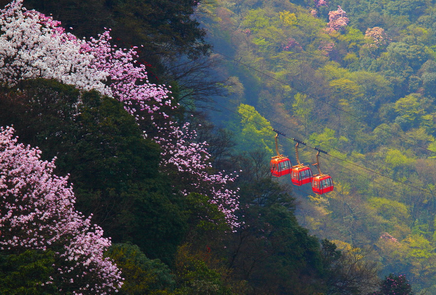 金佛山