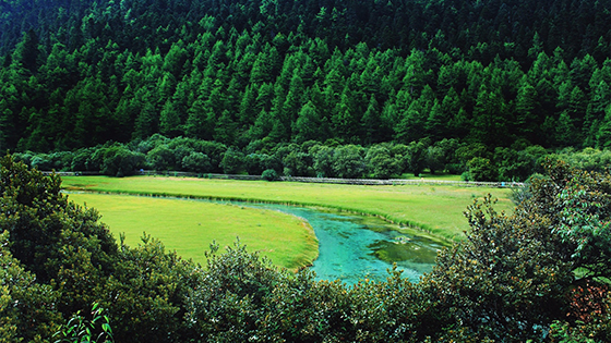 亚丁景区