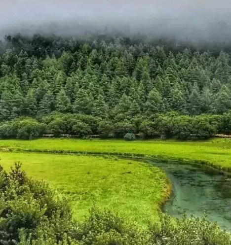 亚丁景区