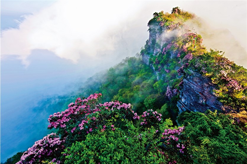 光雾山