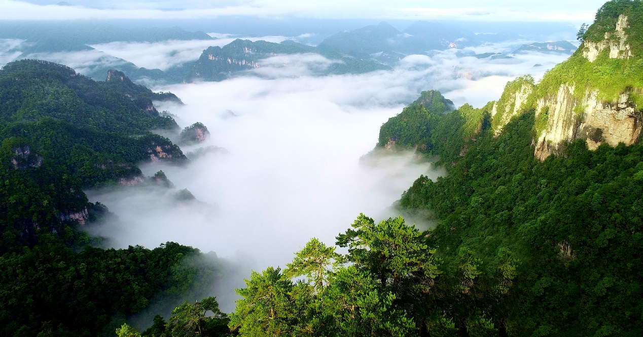光雾山
