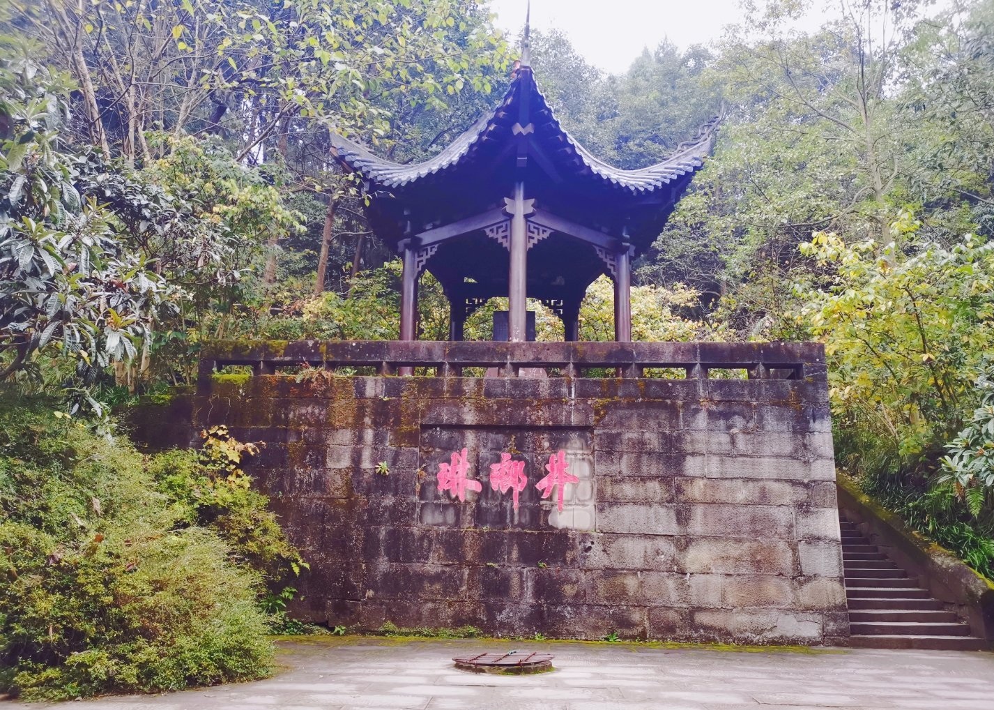 朱德故里景区