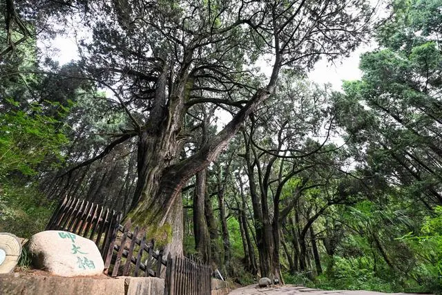 剑门蜀道