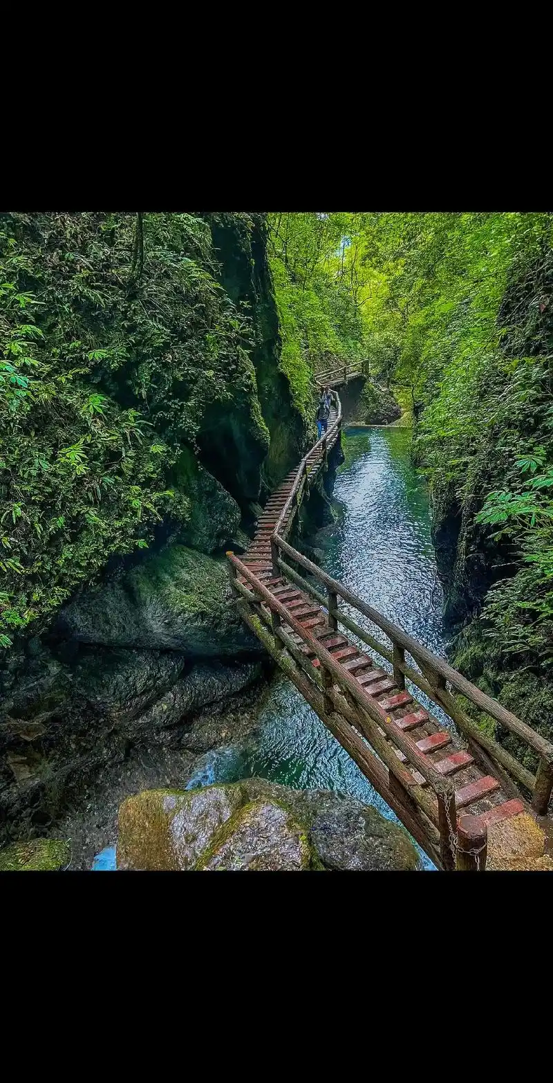 青城山--都江堰