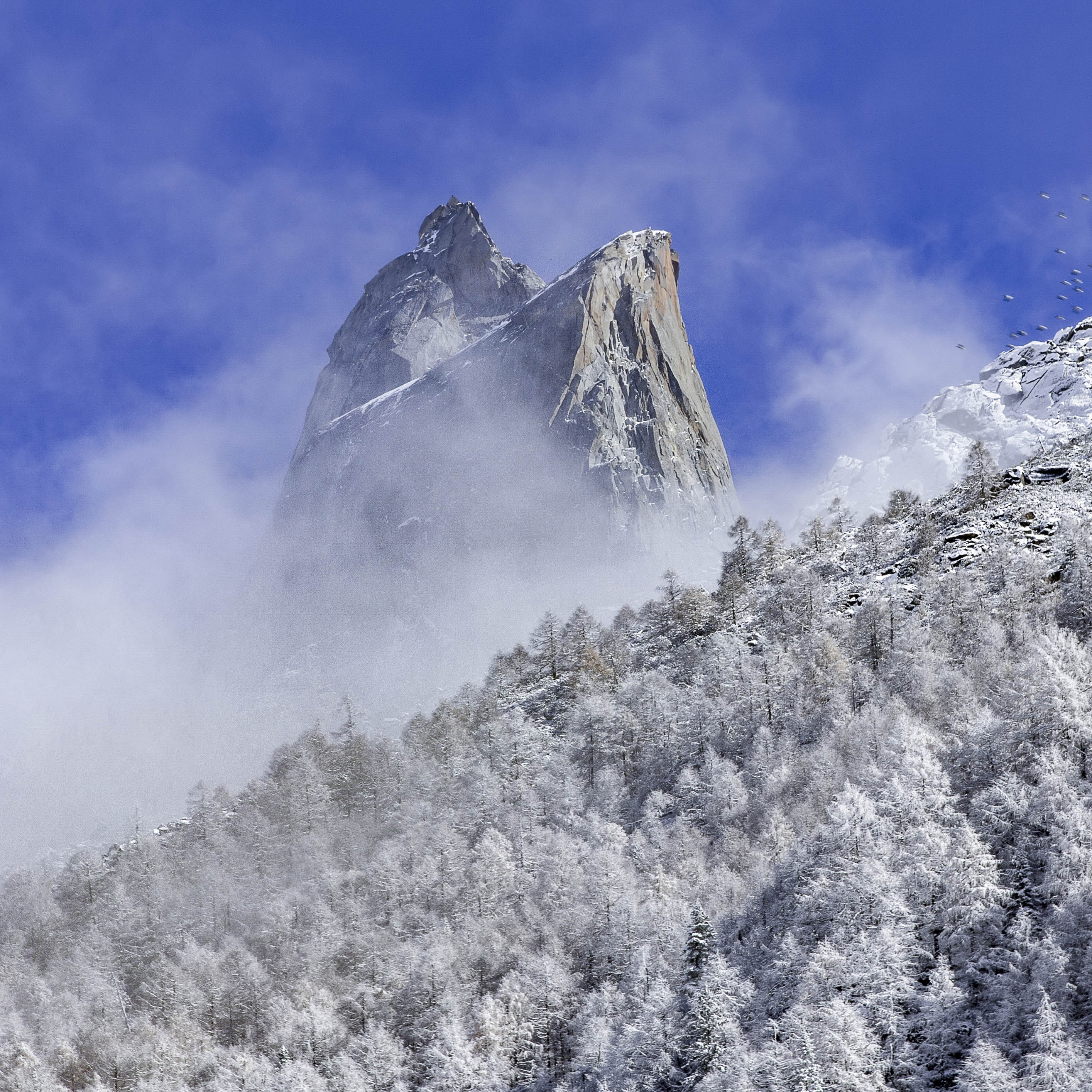四姑娘山