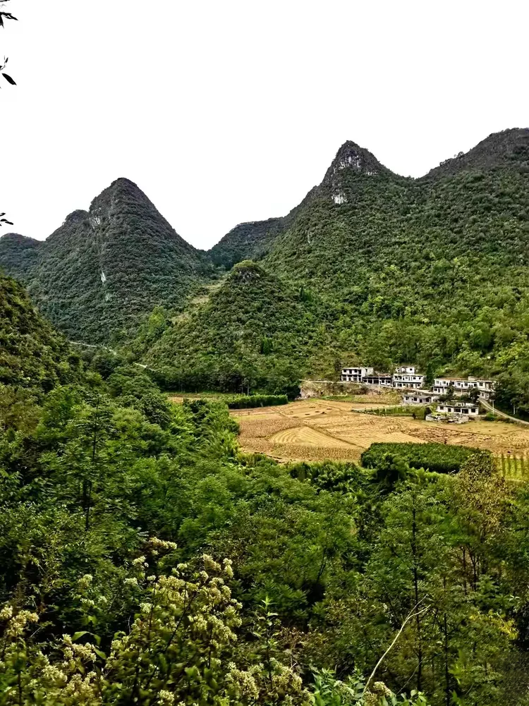 龙宫